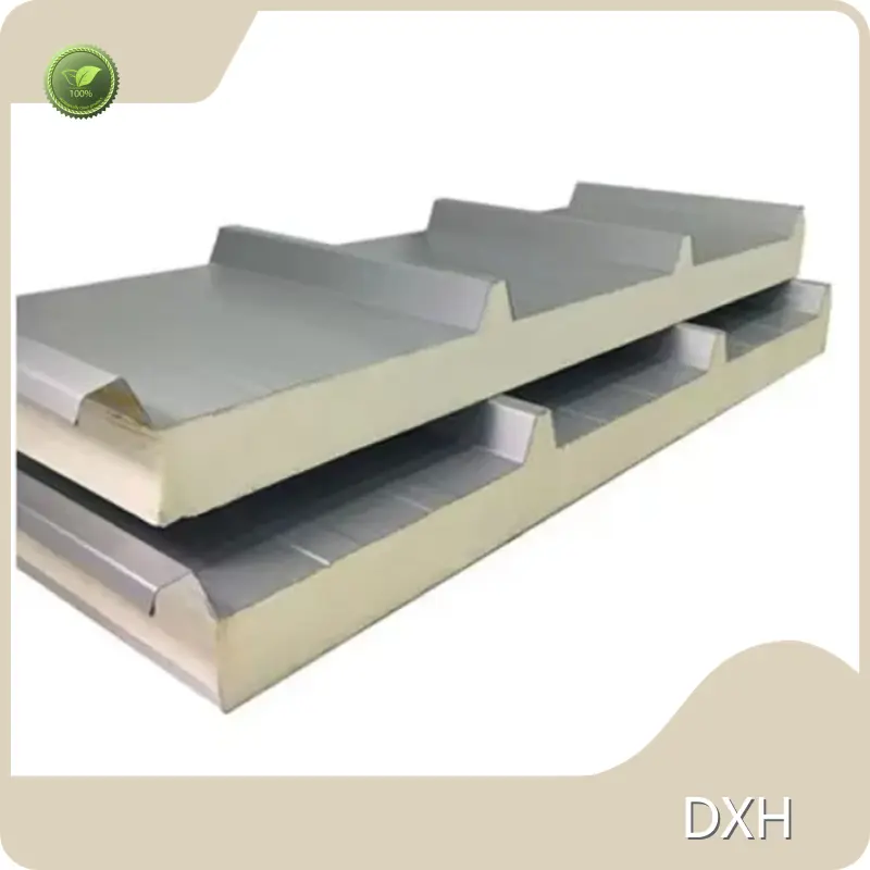 Sandwich Paneel DXHCustomer's Choicemade in China 1