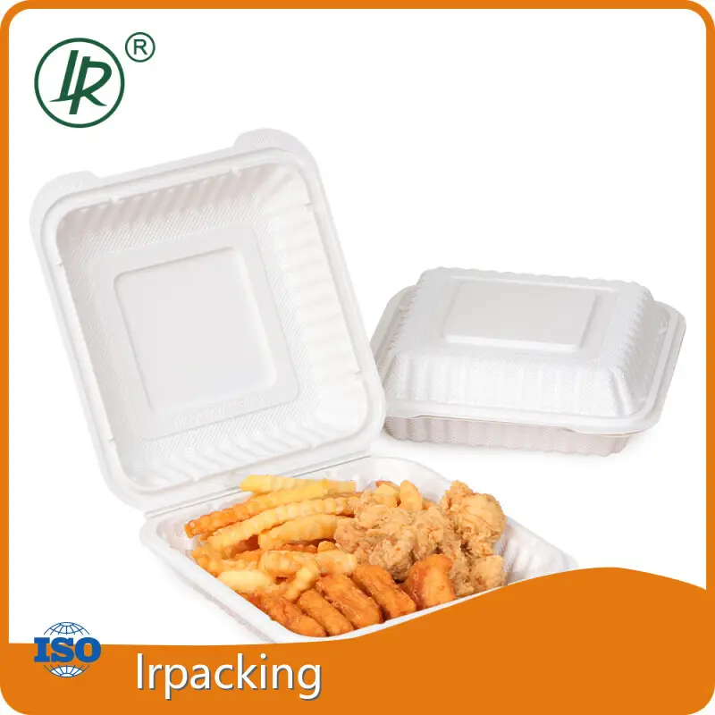 For Home Plastic Box with Attached Lid by Lrpacking 1