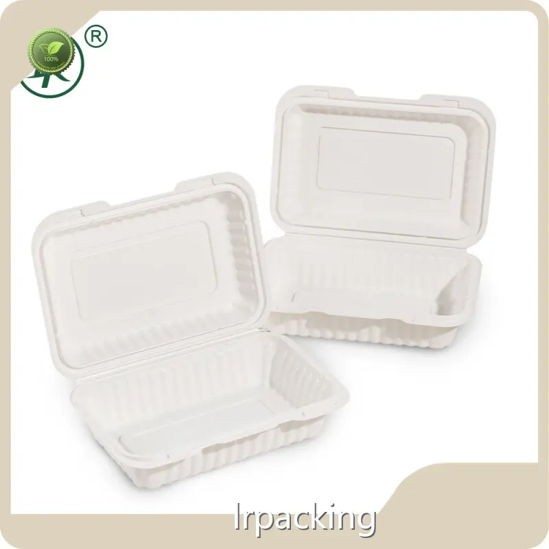 Bulk Hinged Deli Containers Hinged Deli Containers Company 1