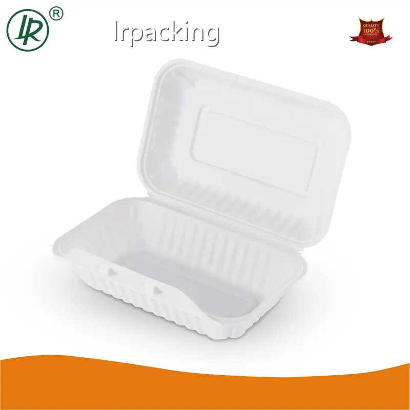 Lrpacking Caja de plástico con tapa abatible Caja de plástico con tapa abatible Proveedor de Lidbest 1