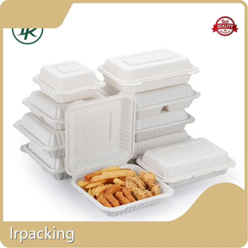 Customized Plexiglass Hinged Box for Sale 1