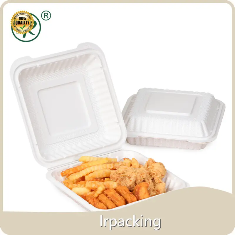 Caja de plástico duro con tapa con bisagras Suministro directo de fábrica para la venta 1