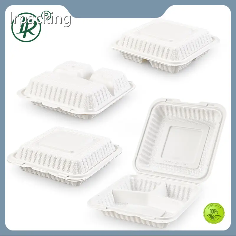 Lrpacking Clear Hinged Container near Me Company 1