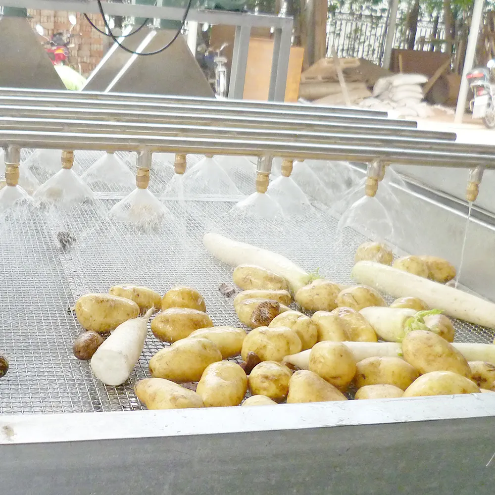 Fruit & Vegetable Dryer Fruit & Vegetable Dryer BEAR Brand 7