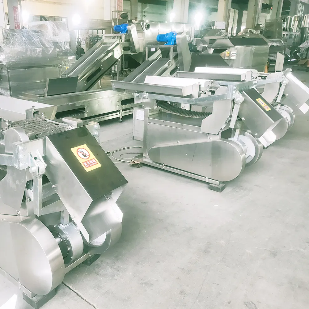 BEAR Supplier Herbal Medicine Equipment Industry 7