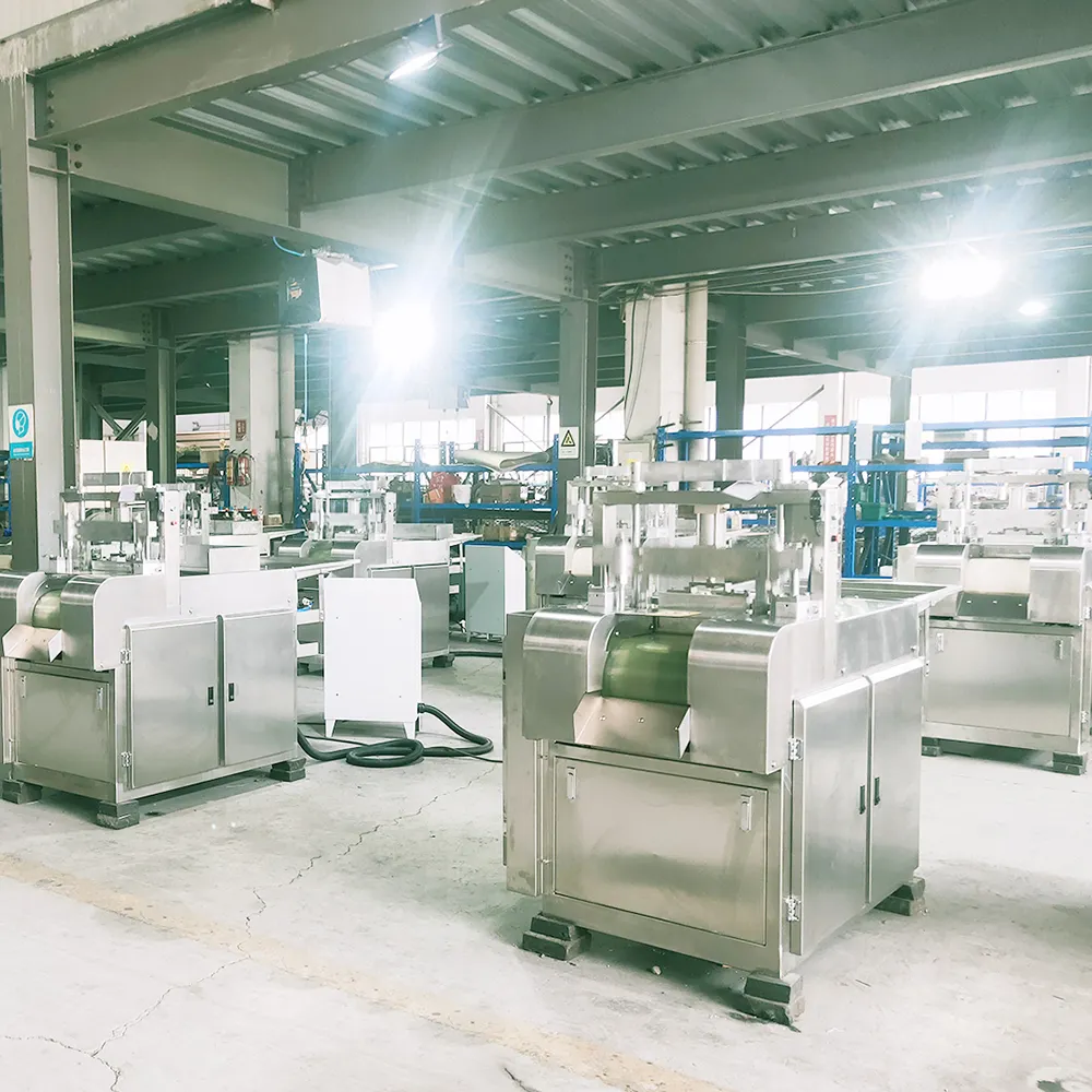 BEAR Brand Oil Extraction Machine Factory 4