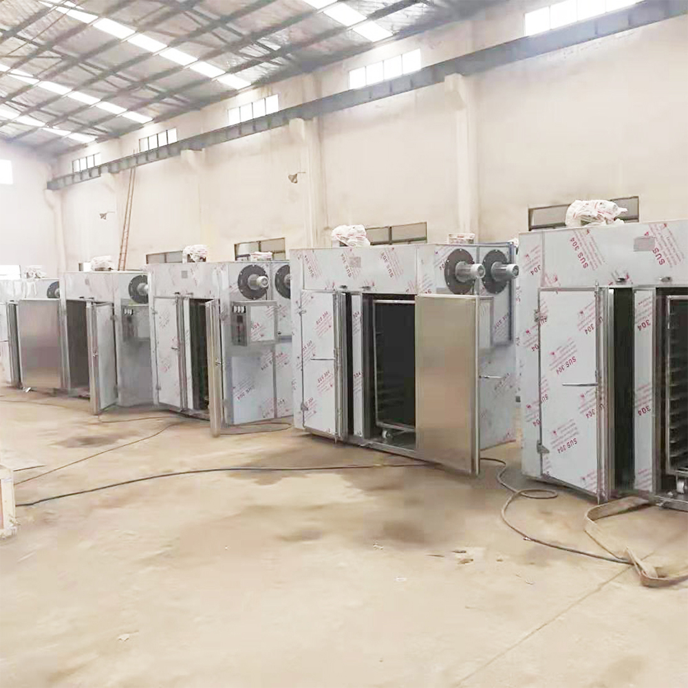 BHX Hot air circulation dryer 6