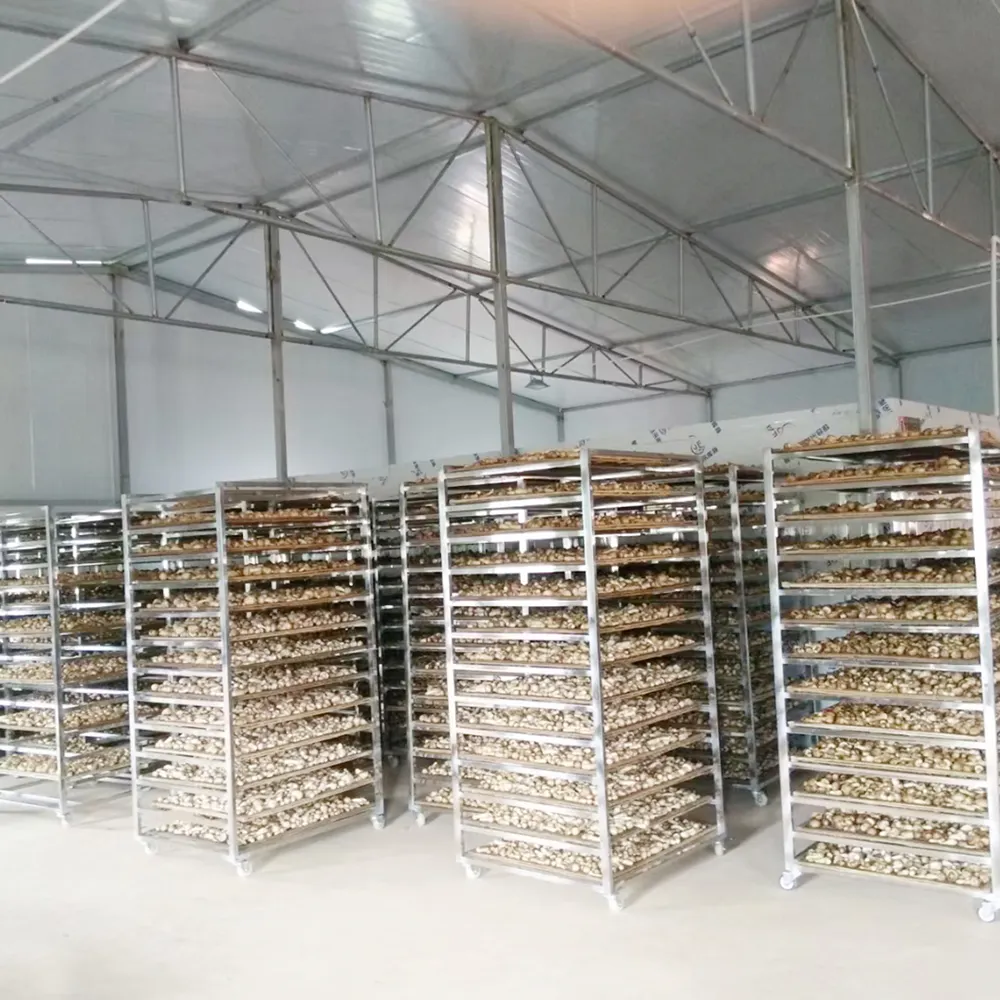 Fruit Dehydrator Machine BEAR, 6