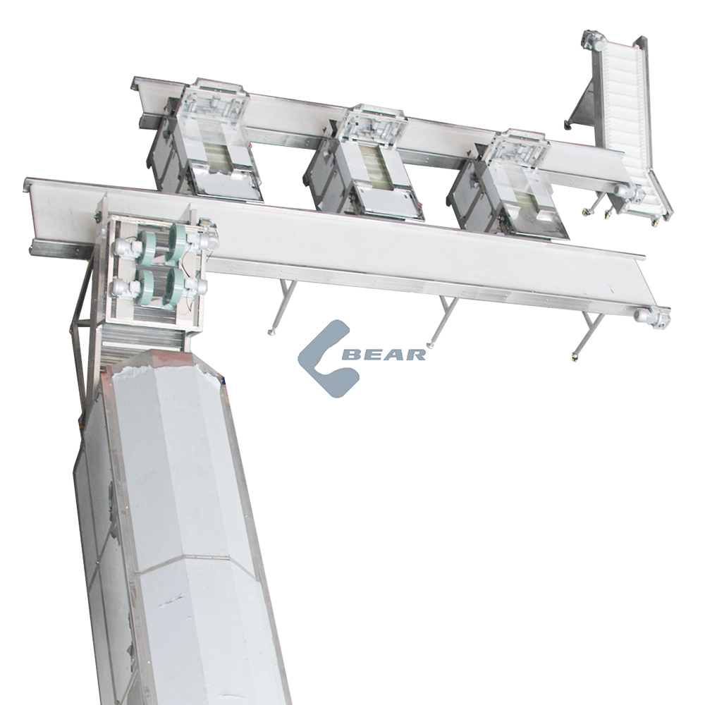SYHG Leaf Processing Line 1