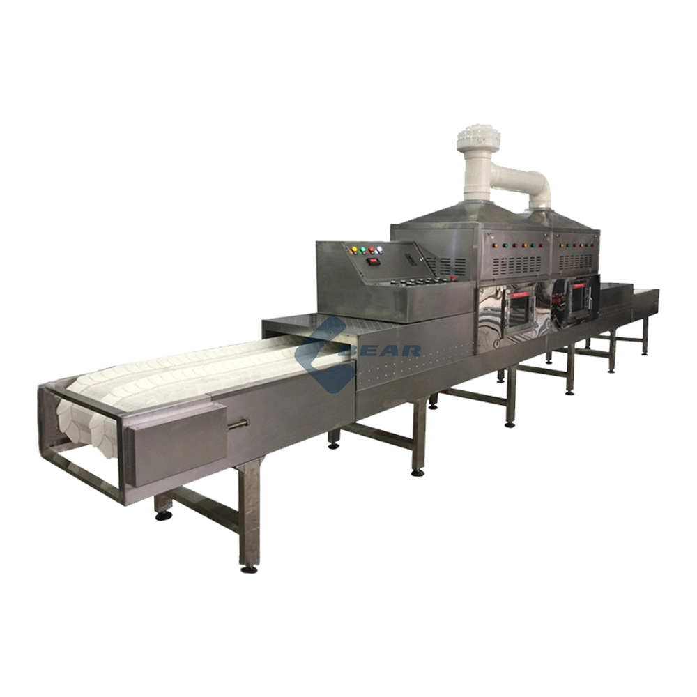 WBSJ Microwave tunnel dryer 1