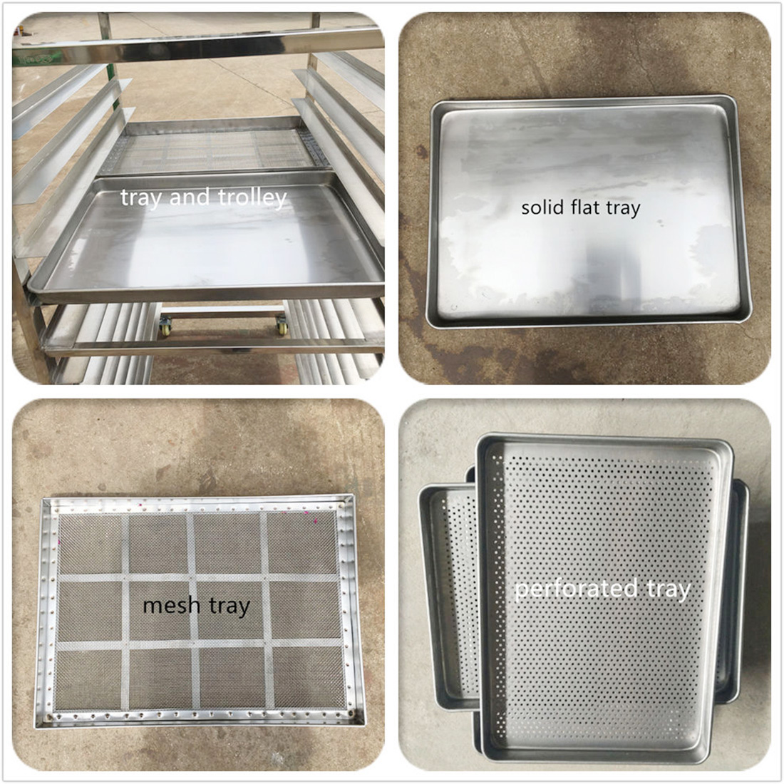 Seafood dryer 2