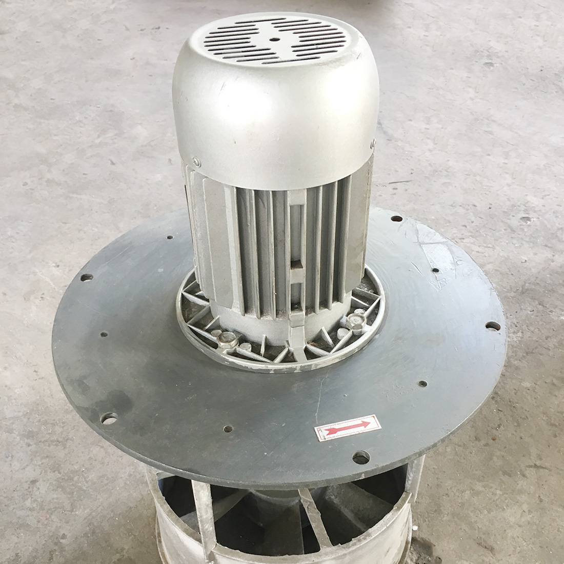 Seafood dryer 5