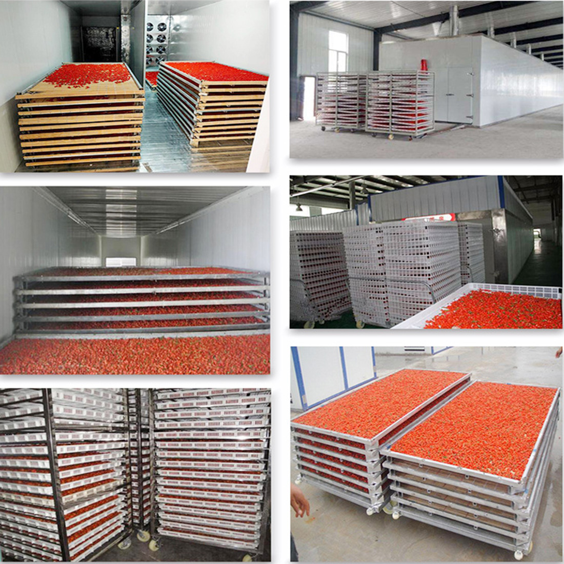 Fruit & vegetable dryer 6