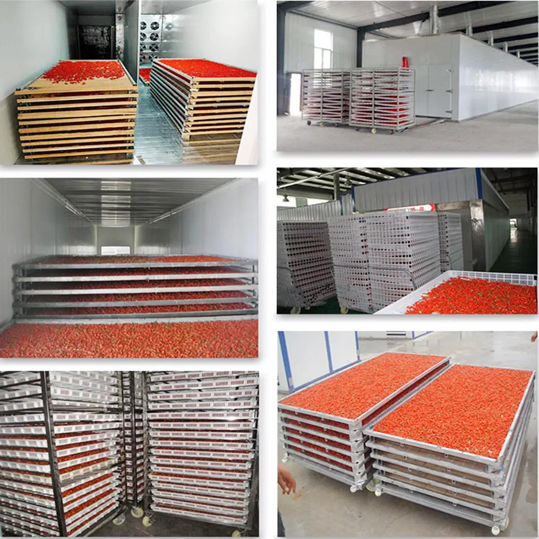 BEAR for Wholesale Potassium Sorbate Powder Spray Dryer Factory Direct Supply Industry 6