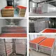BEAR for Wholesale Potassium Sorbate Powder Spray Dryer Factory Direct Supply Industry 6