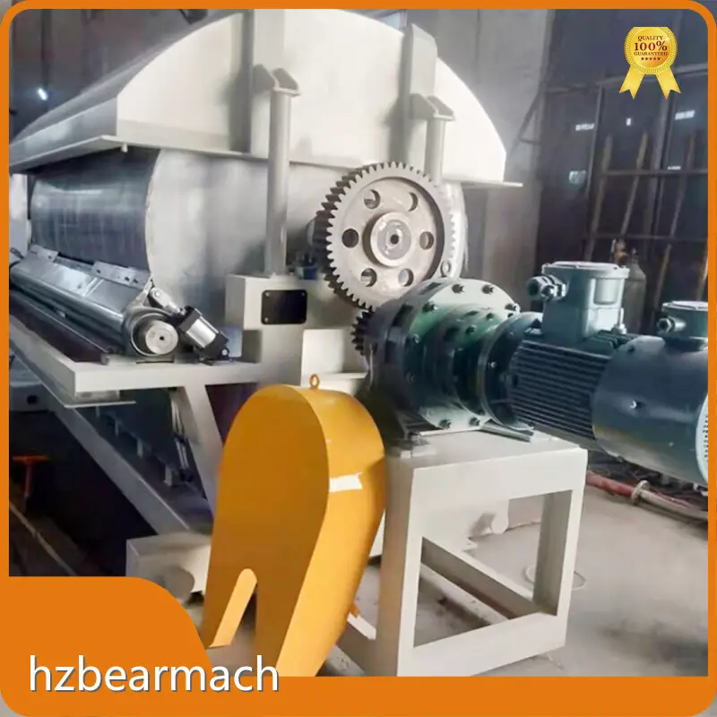 Custom Dry Fruit Packing Machine Manufacturing Manufacturer | BEAR 1