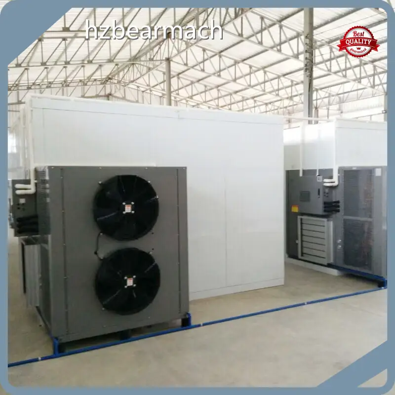 Potassium Sorbate Powder Spray Dryer BEAR 1