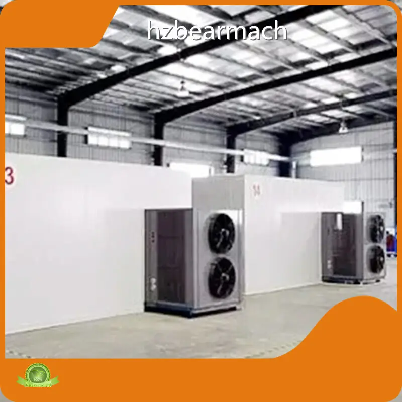 Dry Fruit Grinder Machine Industry BEAR 1