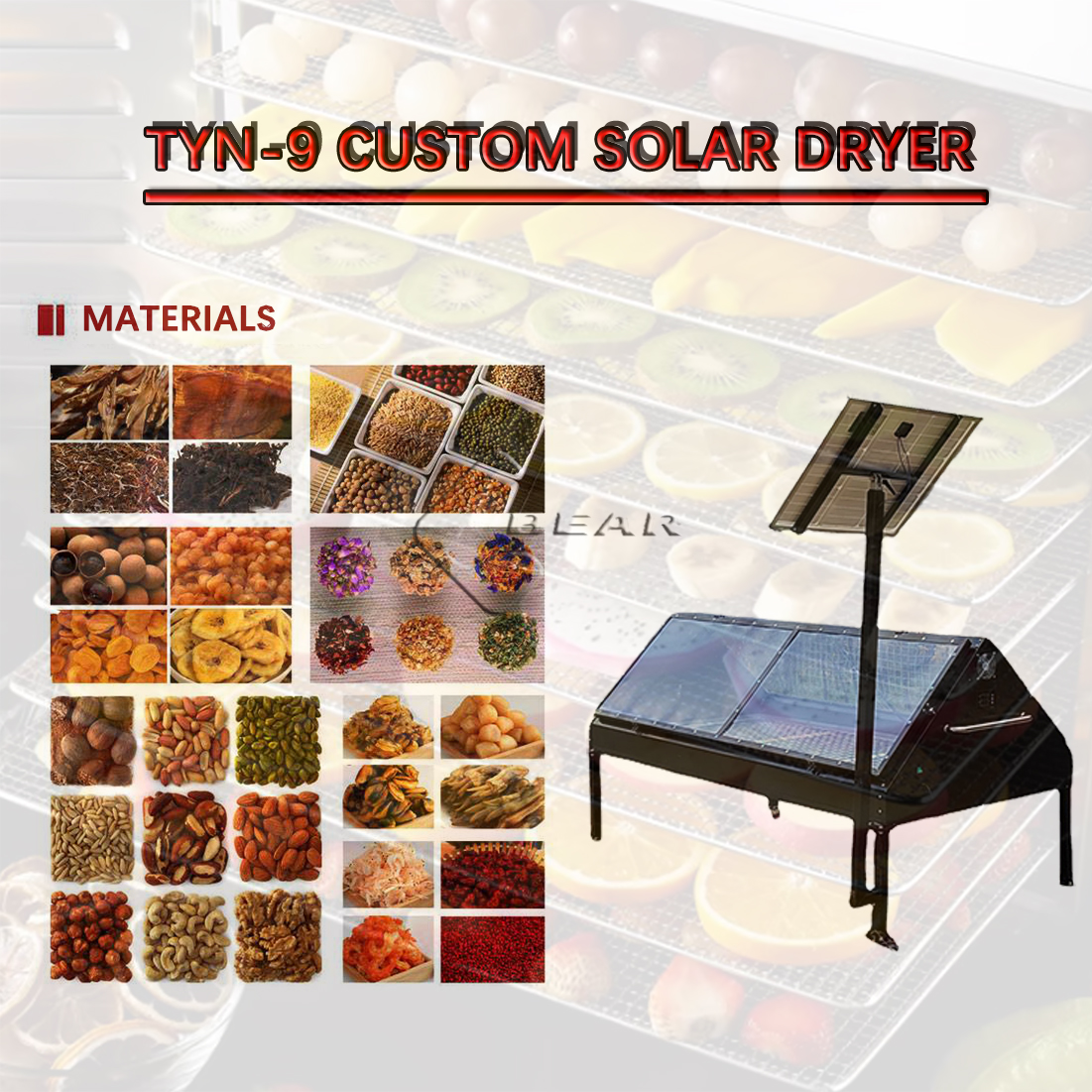 TYN-9 Solar dryer 5