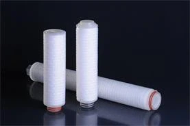 Membrane PES Filter Cartridges 1