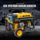 Wepolink Brand Portable Power Inverter Generator Plastic +iron Factory 12