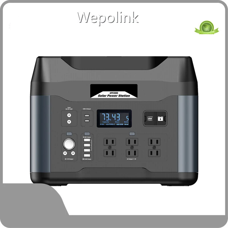 Best 1000w Power Station RHOS Wepolink Brand Company Wepolink Available 1