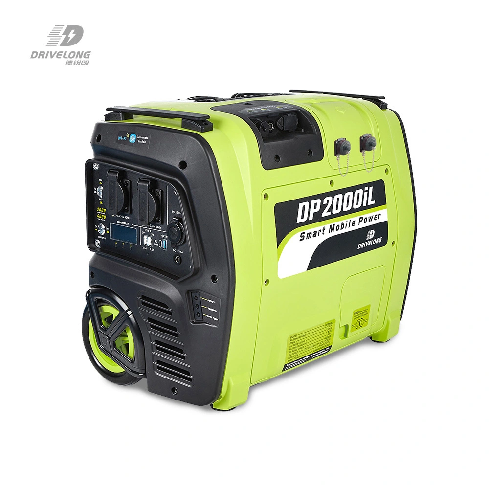 Custom Madepowerstation 1000 Watt >3000 Cycles 50/60Hz 2