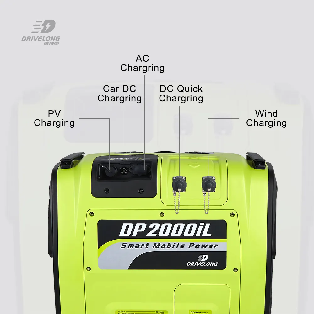 Custom Madepowerstation 1000 Watt >3000 Cycles 50/60Hz 5