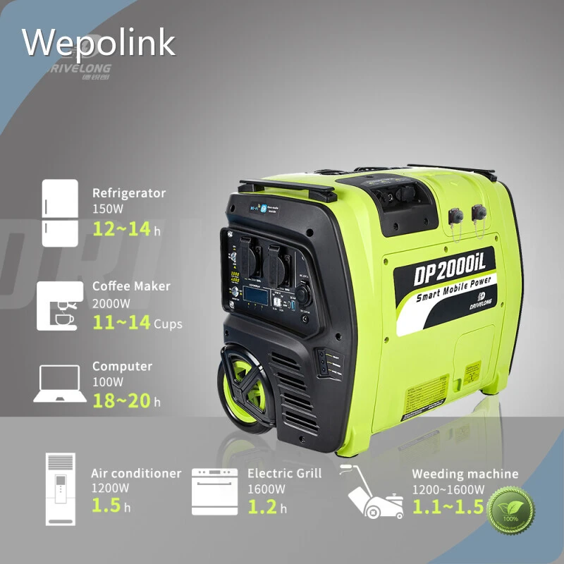 Power Station 2000w MPPT by Wepolink 1