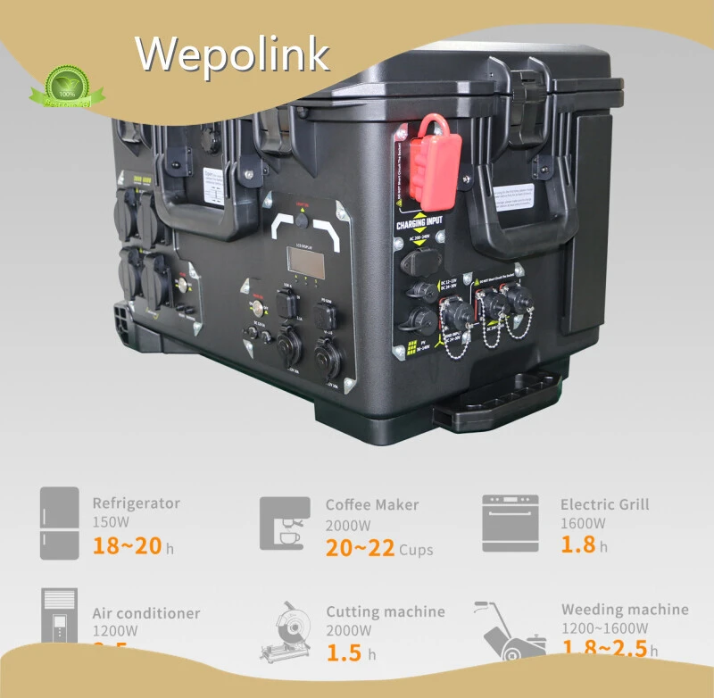 Wepolink Wholesale Generators Wepolink Wholesale Generatorsprice 1