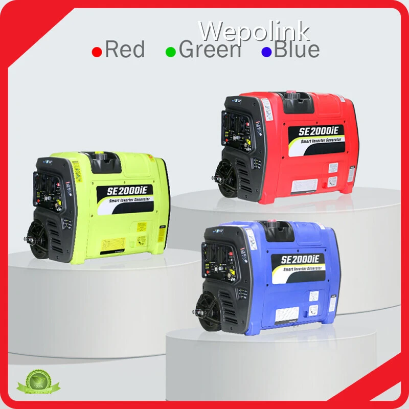 Portable Gas Powered Generator 80cm3 - - Wepolink 1