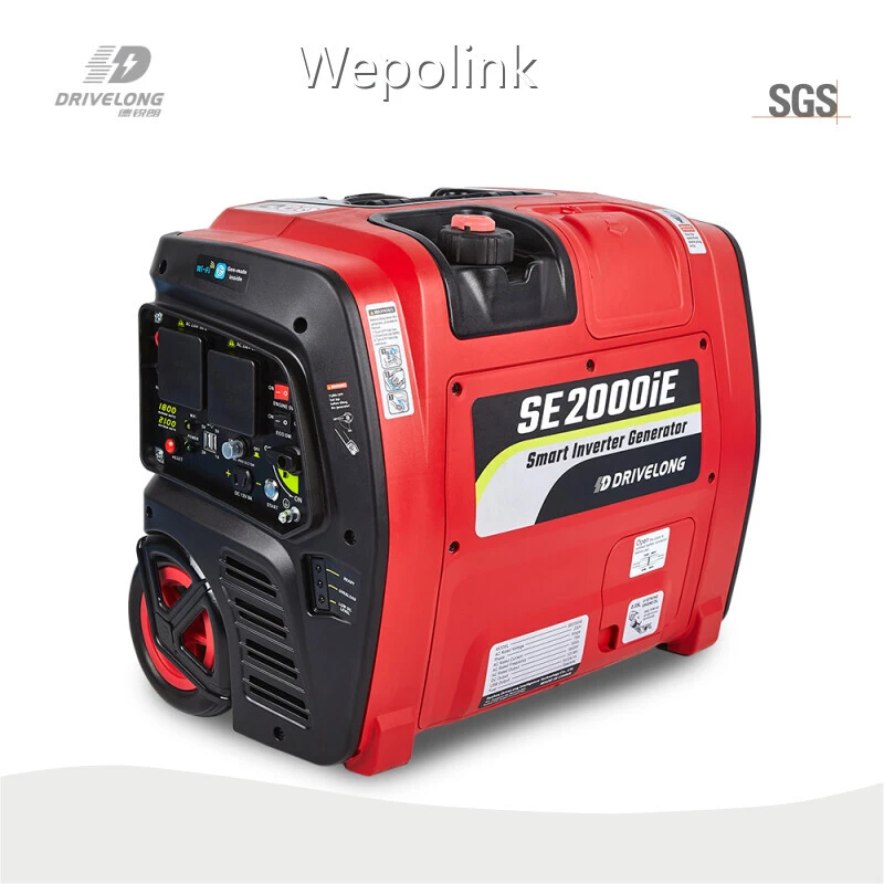 2000w Gas Generator Suppliers Single Cylinder 1