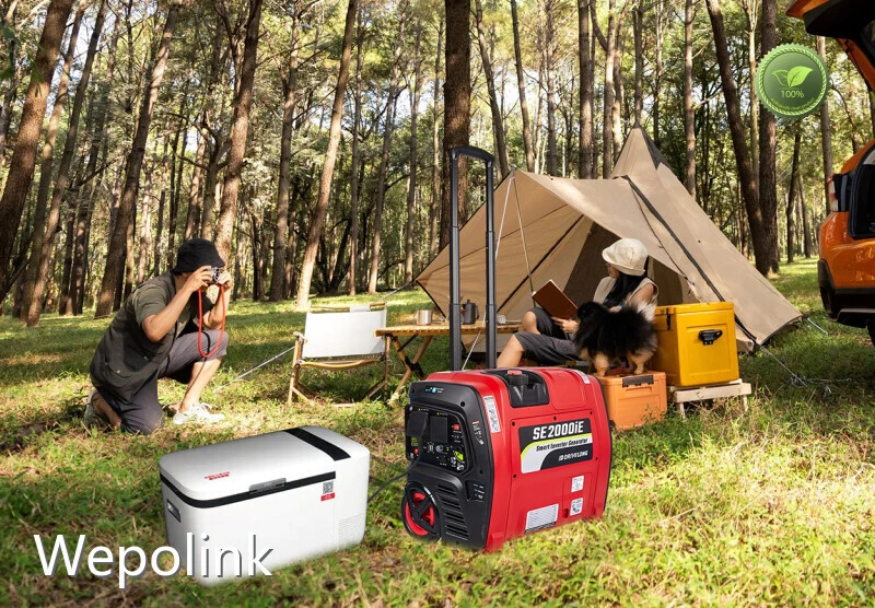 Portable Gas Generator for Sale T/Tcompany 1