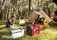 Portable Gas Generator for Sale T/Tcompany 1