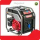 Portable Gas Powered Generator MSDS by Wepolink 1