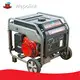 Buy Best 6000 Watt Inverter Generator Wholesale 1