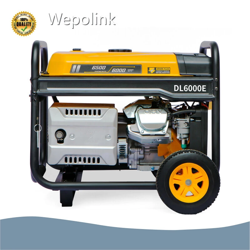 6000w Inverter Generator Shanghai by Wepolink 1