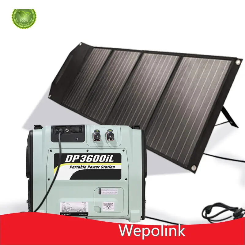 Top Portable Power Supplier Portable Power Supplier Company 1