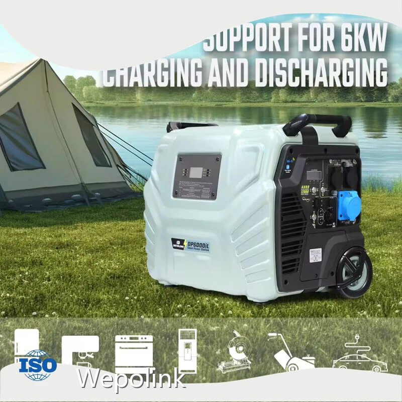 Customportable Power Station Supplier Wind Charging/UPS Shanghai 1