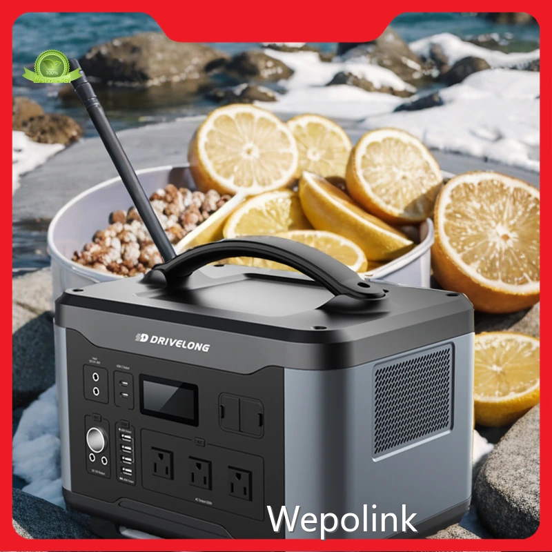 Power Station 1000w Wireless Charging - - Wepolink 1