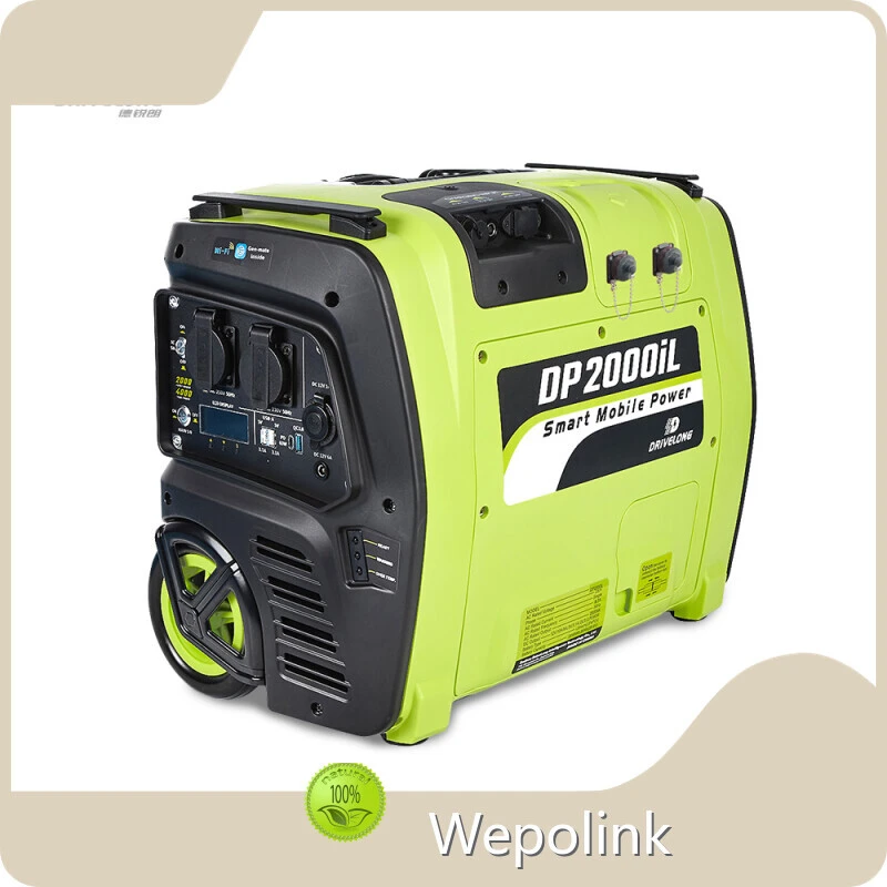 Custom Madepowerstation 1000 Watt >3000 Cycles 50/60Hz 1