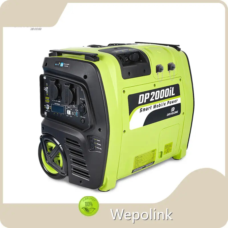 Custom Madepowerstation 1000 Watt >3000 Cycles 50/60Hz 1