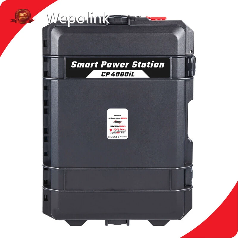 Customized Portable Power Supplier Price List 1