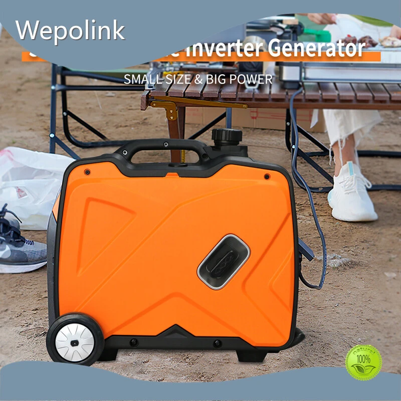 Custom 3000w Gas Generator Company 1