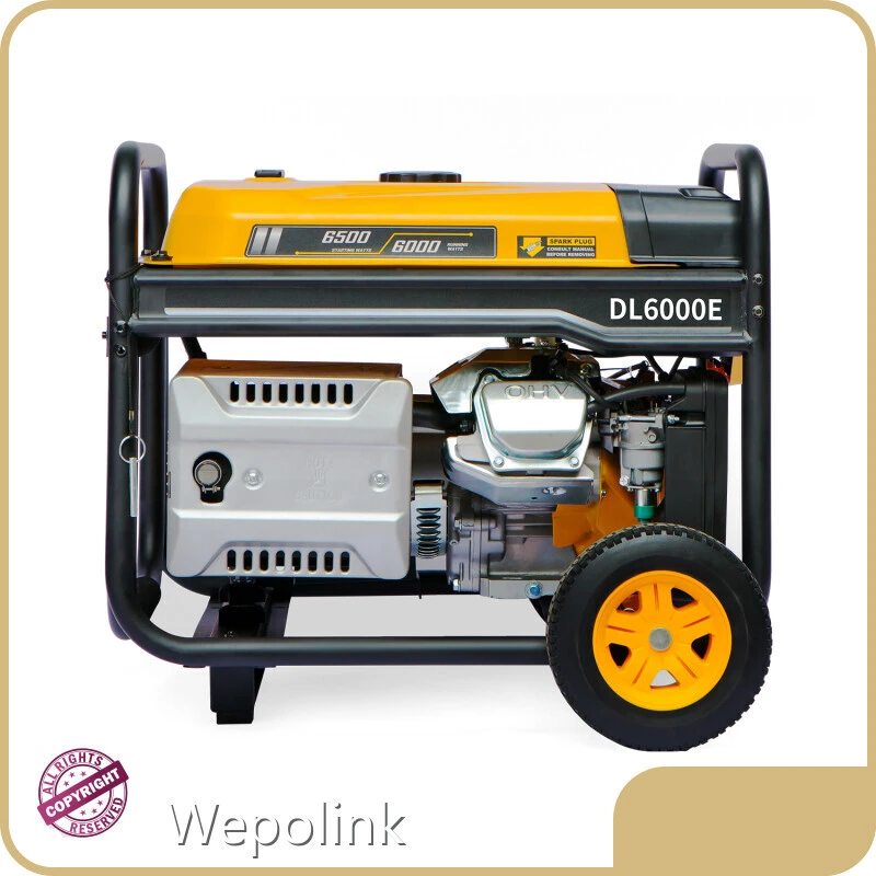 Latest 6000 Inverter Generator Vendor 1
