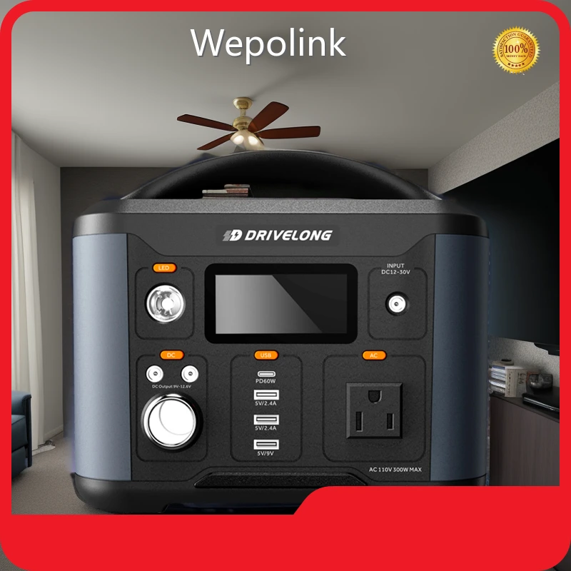 300 Watt Power Station MSDS by Wepolink 1
