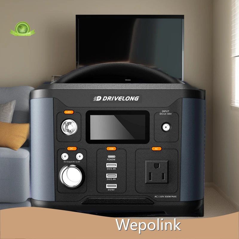300 Watt Power Station Li-ion NCM by Wepolink 1