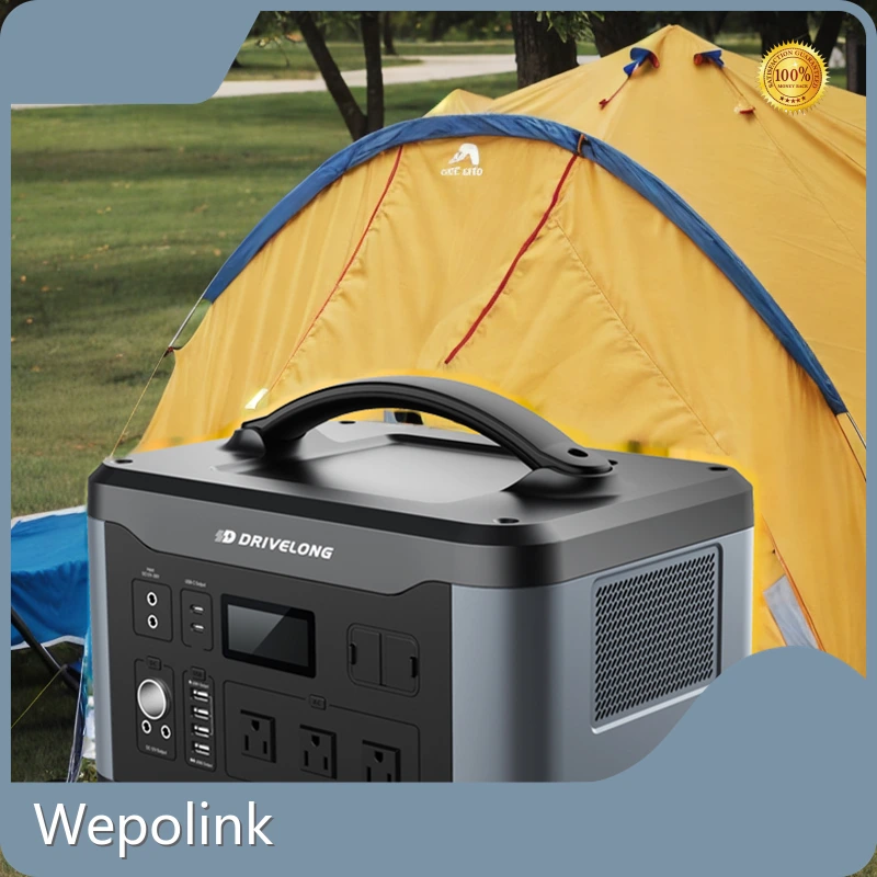 Buy Powerstation 1000 Watt Price 1