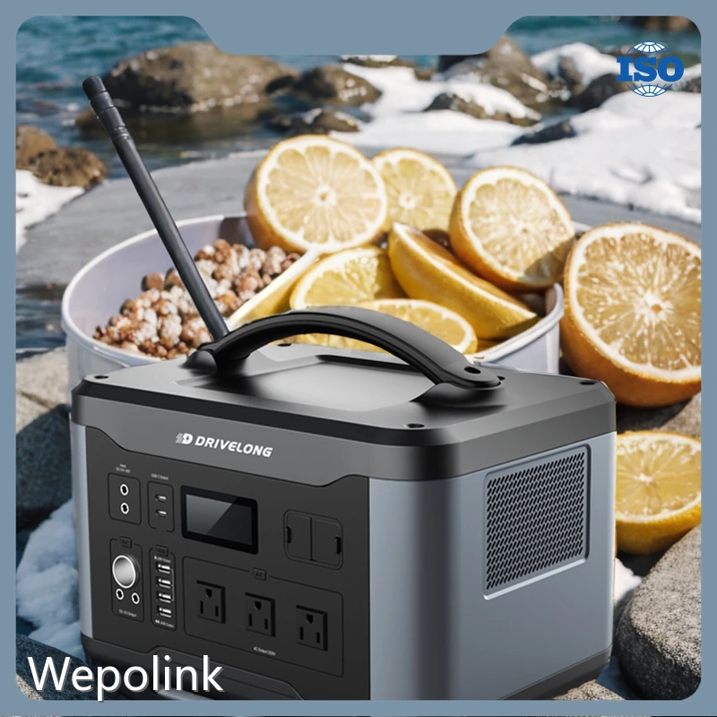 Best 1000 Watt Power Station External Batteryvendor 1