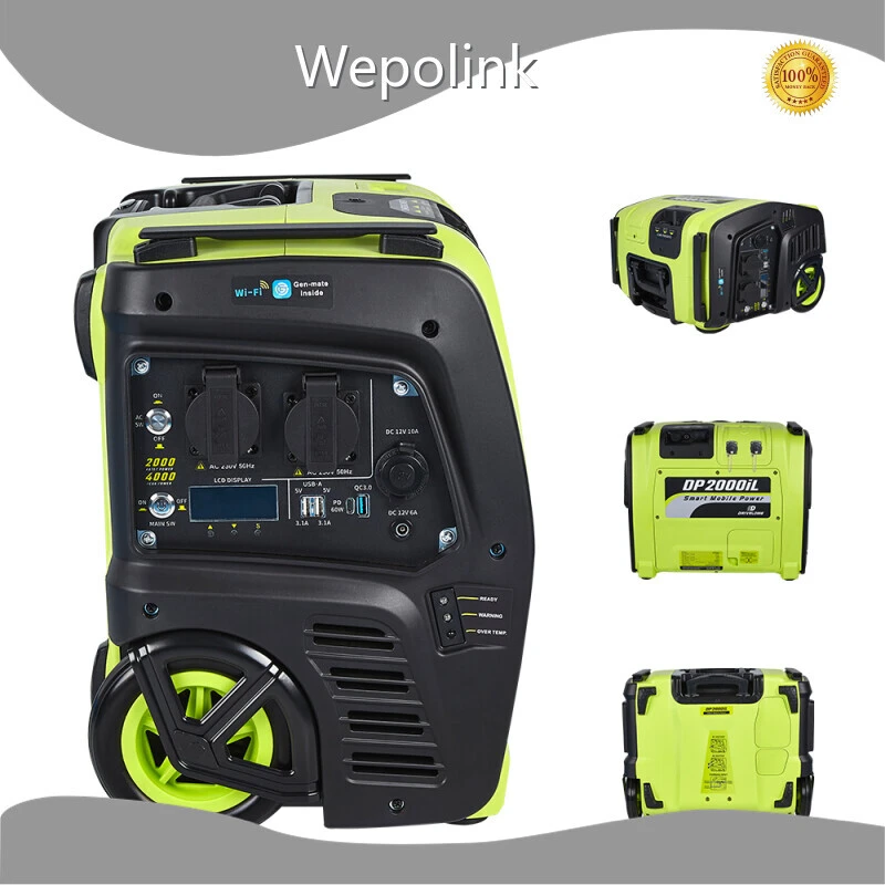 Custom Made 1000w Power Generator 1000w Power Generator Company 1